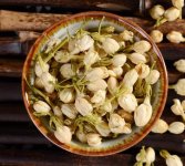 鮮茉莉花怎么炮制成茶？