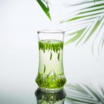 正宗的竹葉青產自哪里？