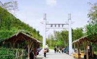 5月12日：徒步貢茶古道，天然氧吧，綠色之旅